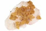 Yellow Calcite On Scolecite (Zeolite) Sprays - Maharashtra, India #195773-1